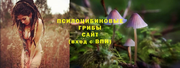 сатива Медногорск