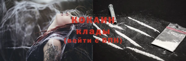 гашик Михайловск