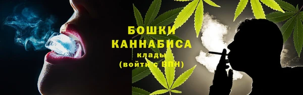 гашик Михайловск