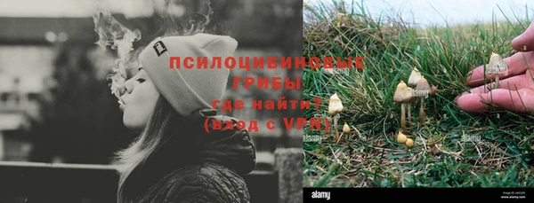 гашик Медвежьегорск