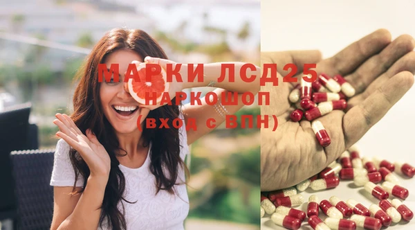 гашик Михайловск