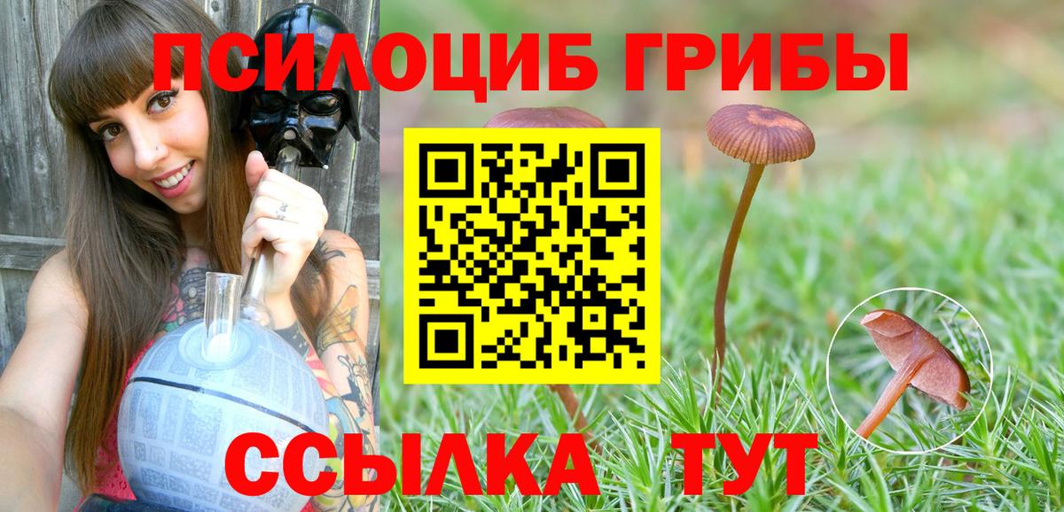 Шадринск  Псилоцибиновые грибы ЛСД  Вход с VPN 